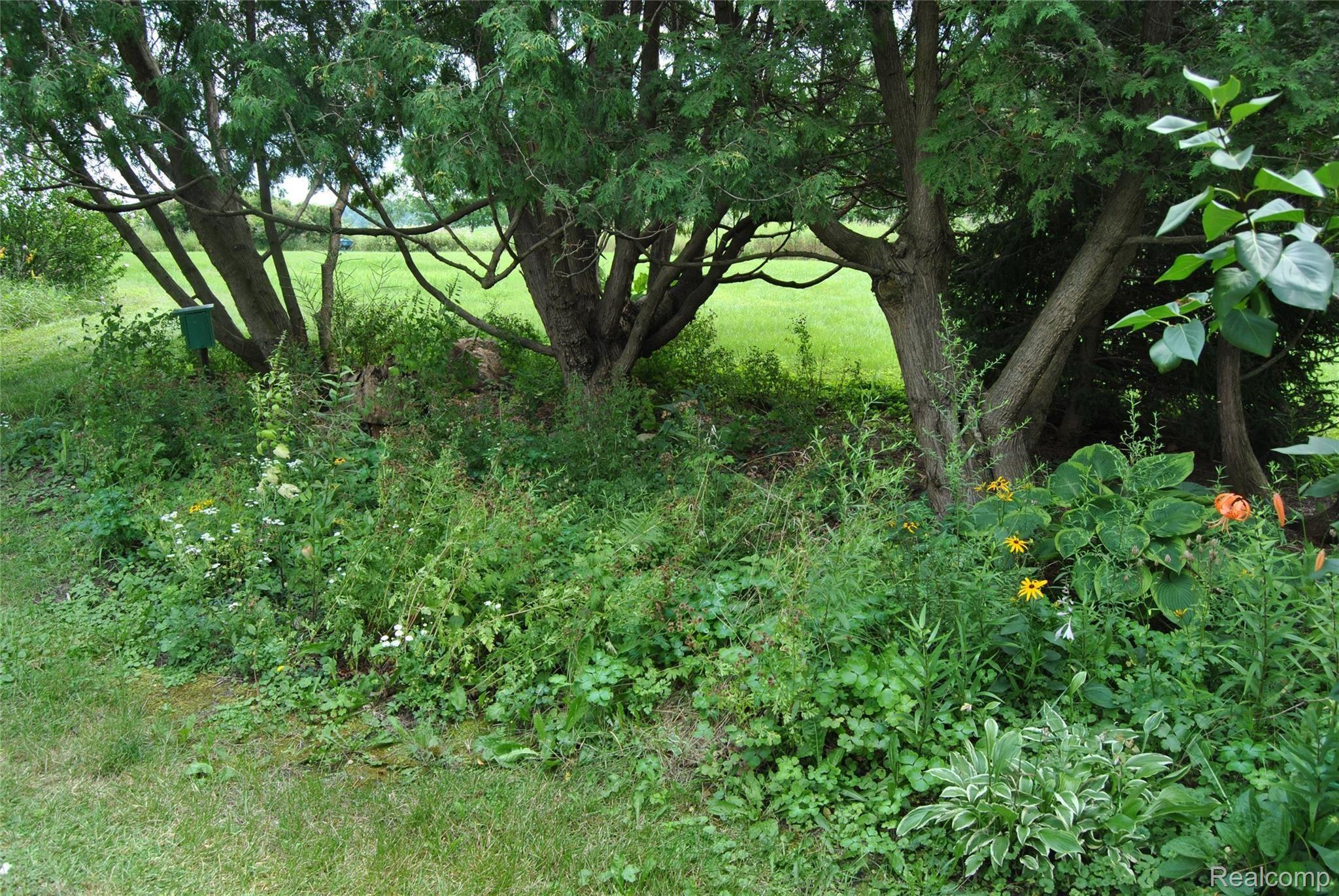 3735 West Oregon Road Lapeer, MI 48446 - Photo 49 of 76 DSC_0009.JPG