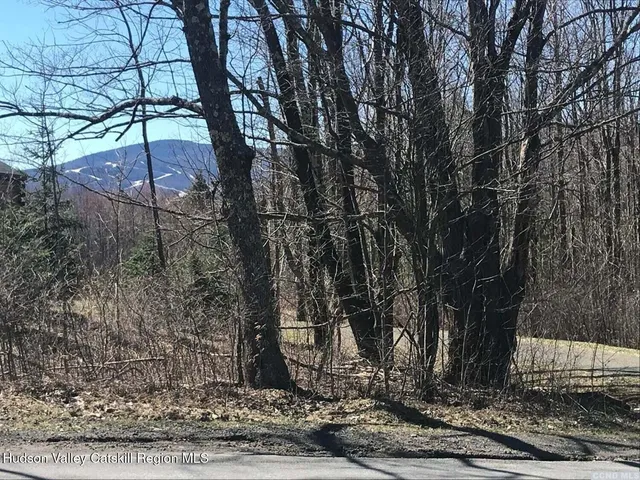 a view of a backyard of the house