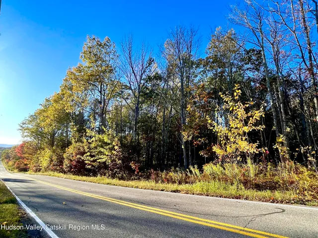 a view of a yard from a window