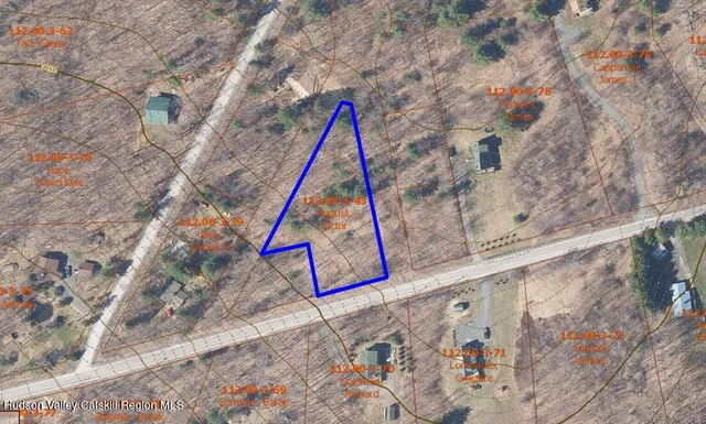 a view of a wooden floor with a palm tree