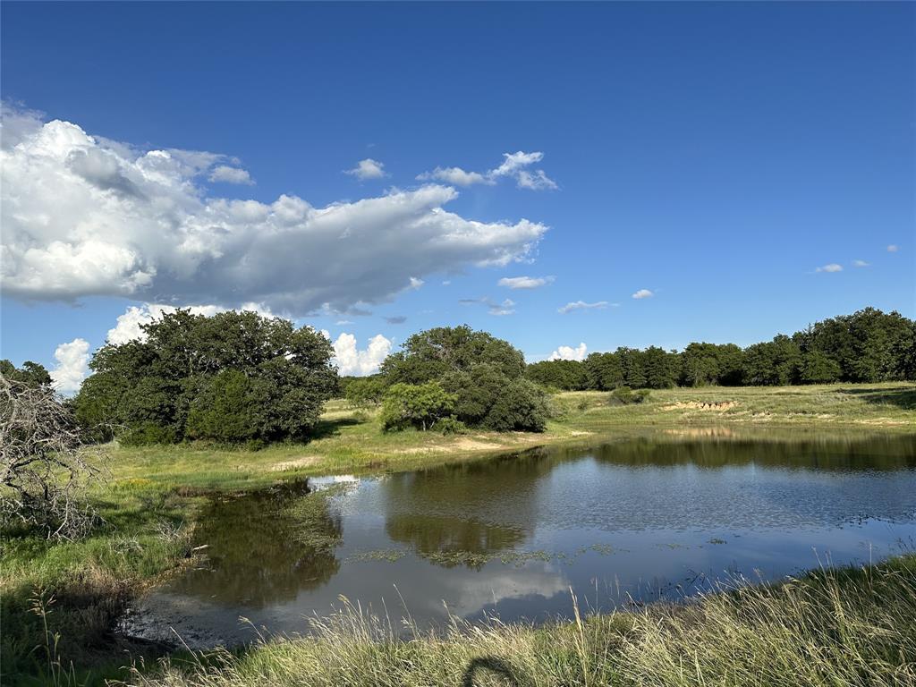 Pond (stock tank) full after spring rains.