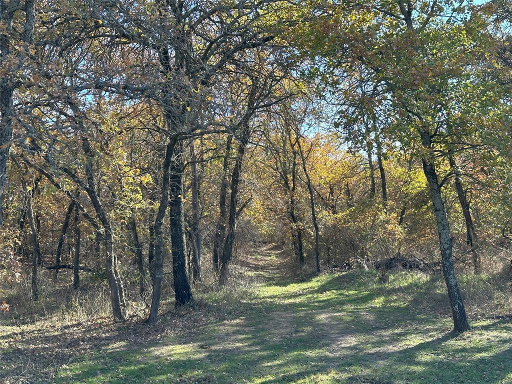 1625 Sanger Drive Springtown, TX 76082 - Photo 11 of 40 Another of the trails on the property.
