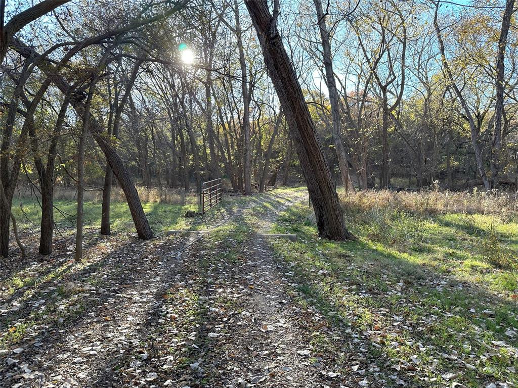 1625 Sanger Drive Springtown, TX 76082 - Photo 13 of 40 Heading back through gate at cross fence toward front of property.