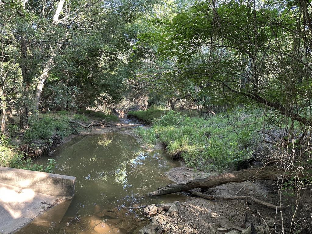 1625 Sanger Drive Springtown, TX 76082 - Photo 15 of 40 Creek