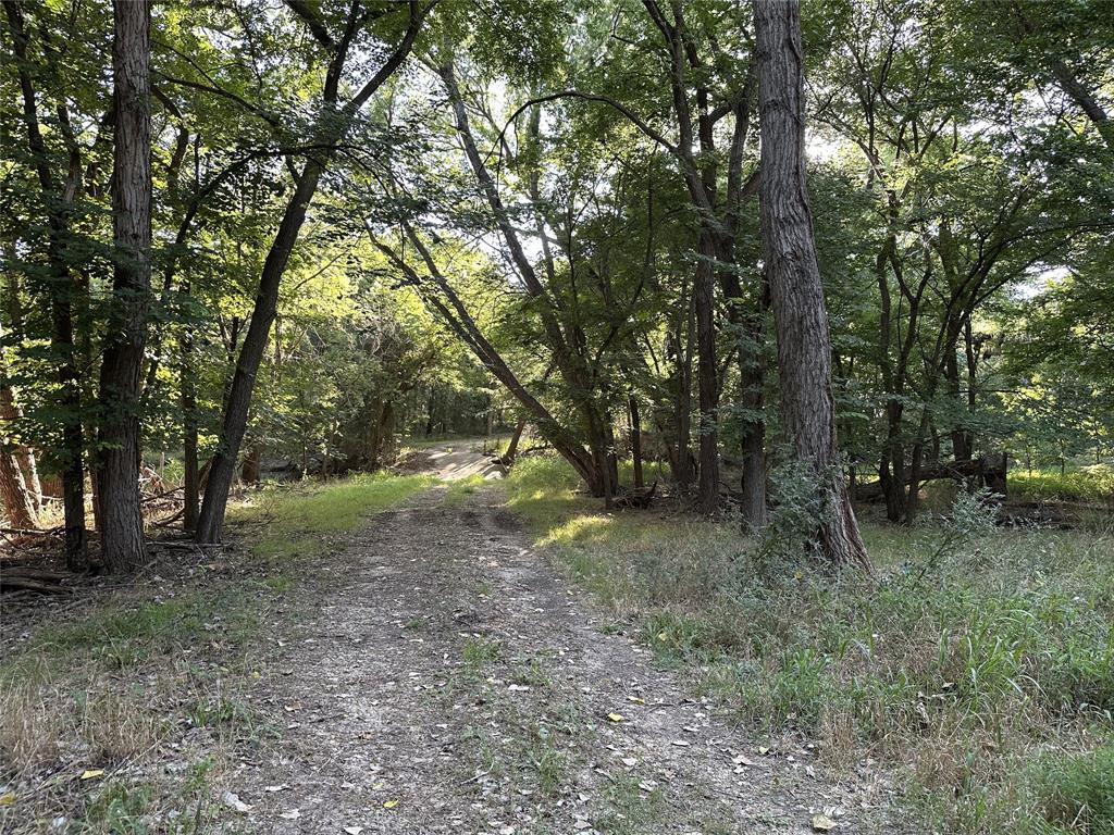 1625 Sanger Drive Springtown, TX 76082 - Photo 18 of 40 Roadway going from front toward back of property