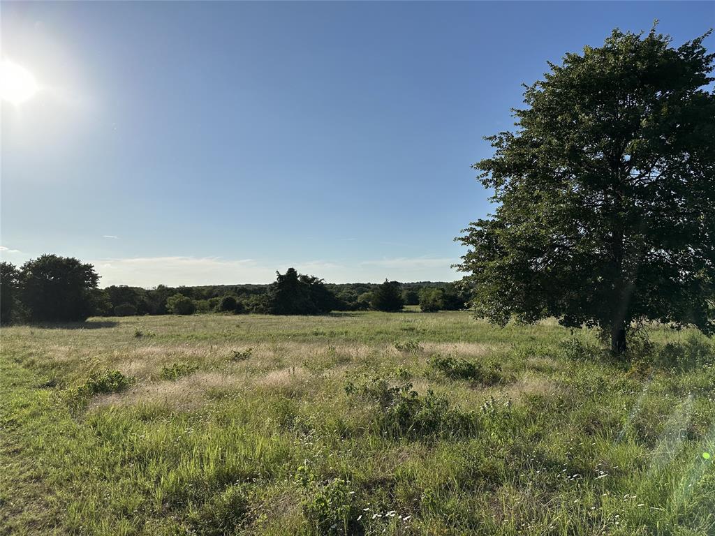 1625 Sanger Drive Springtown, TX 76082 - Photo 20 of 40 More grassy areas with scattered trees.