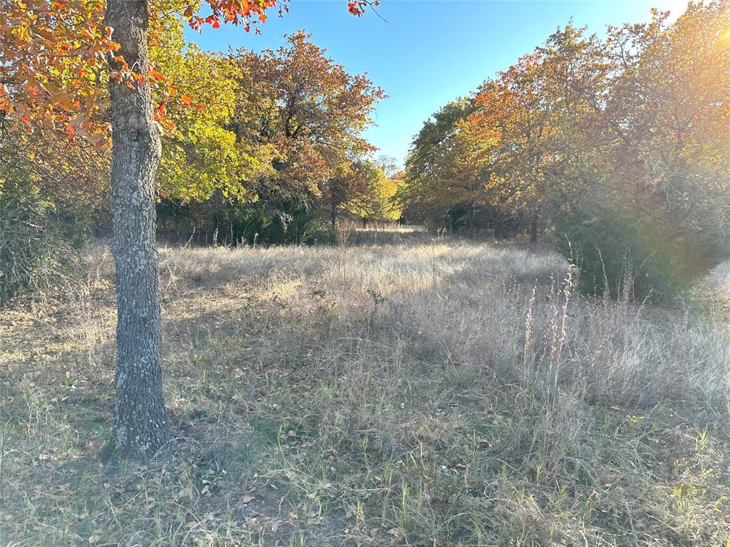 1625 Sanger Drive Springtown, TX 76082 - Photo 28 of 40 Another trail.
