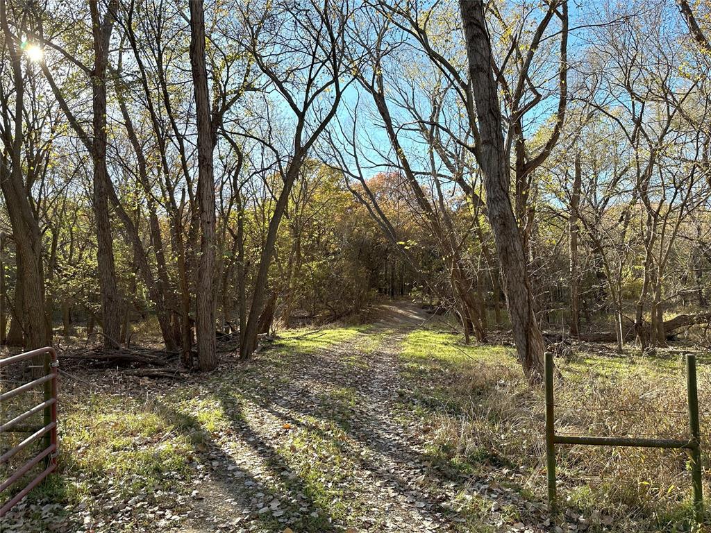 1625 Sanger Drive Springtown, TX 76082 - Photo 29 of 40 Going through gate at cross fence toward front of property.