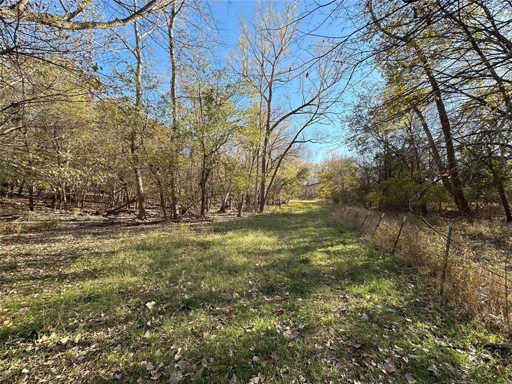 1625 Sanger Drive Springtown, TX 76082 - Photo 30 of 40 Grassy area near cross fence.