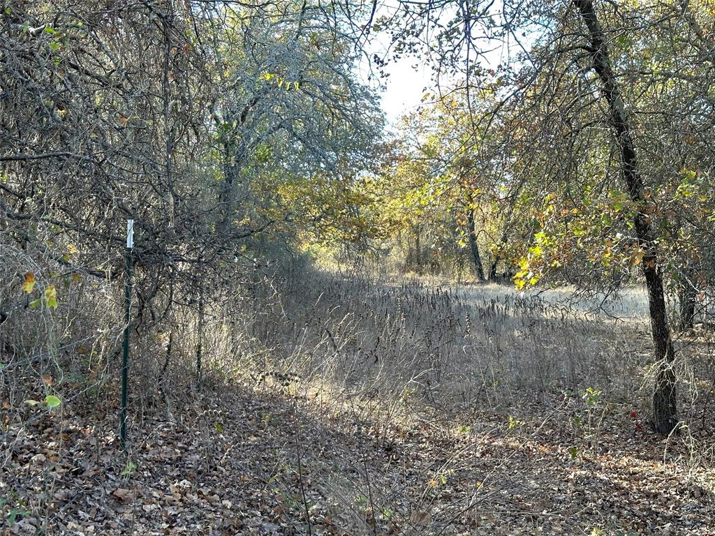 1625 Sanger Drive Springtown, TX 76082 - Photo 31 of 40 south fence line.