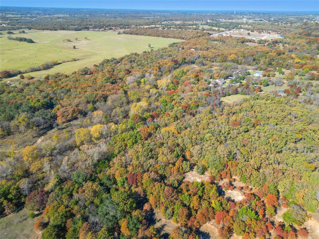 1625 Sanger Drive Springtown, TX 76082 - Photo 36 of 40 You can get just a glimpse of the road wandering through the beautiful trees-look toward the left middle to see the road.