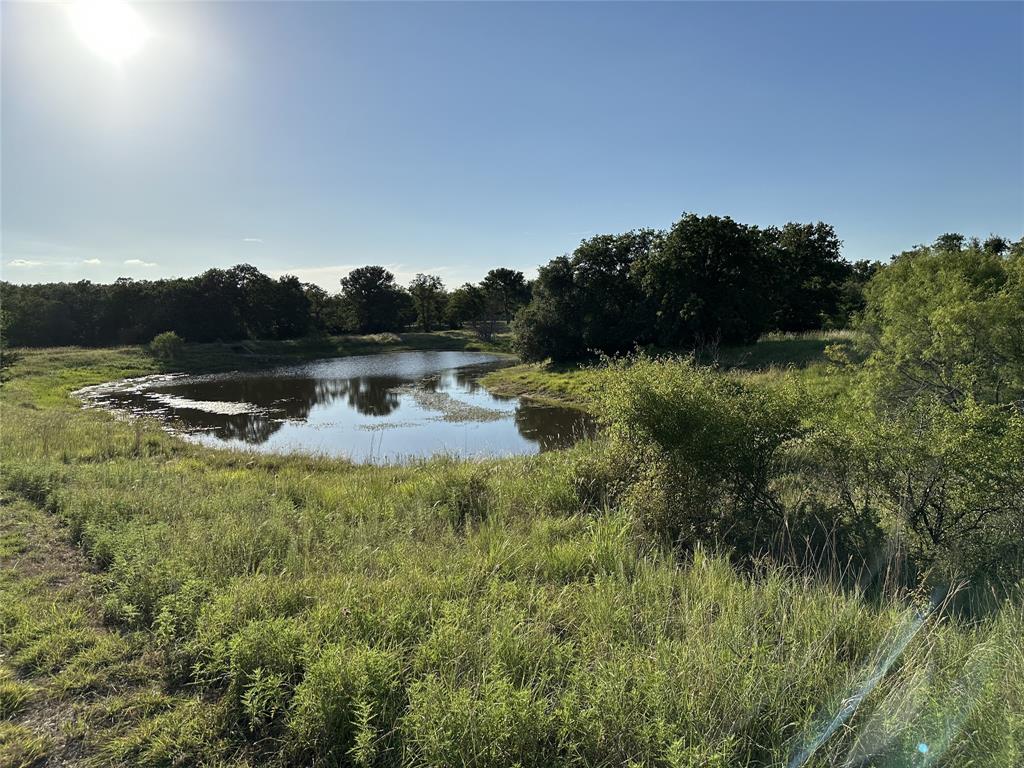 1625 Sanger Drive Springtown, TX 76082 - Photo 4 of 40 View of pond (stock tank) from back side.