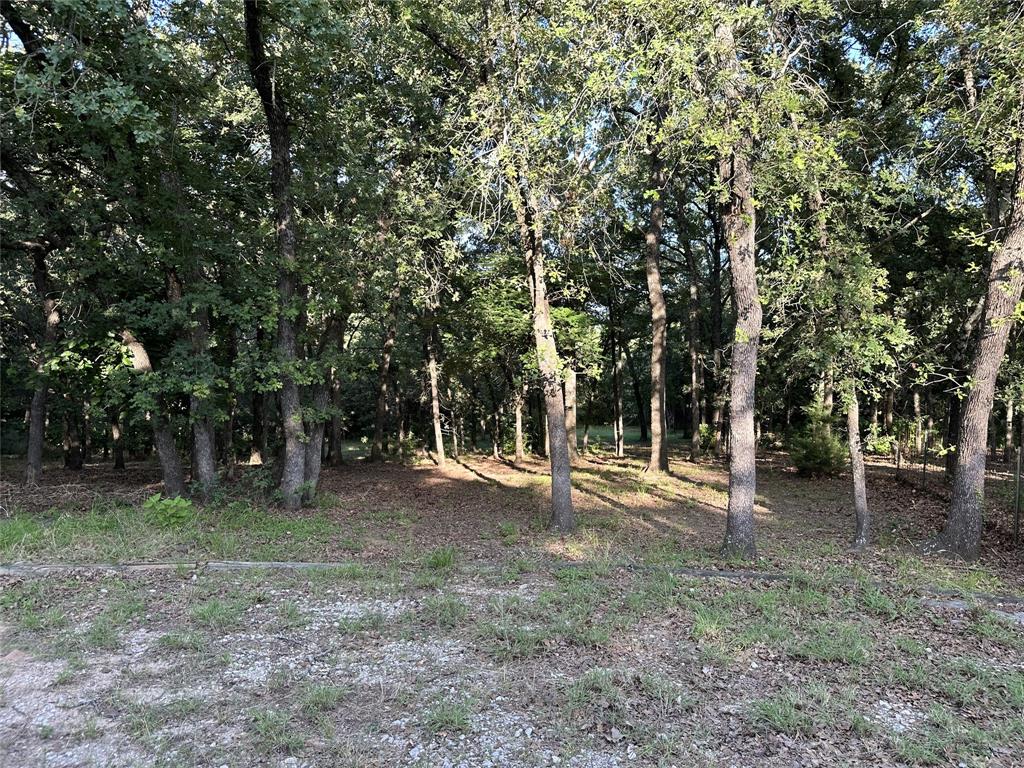 1625 Sanger Drive Springtown, TX 76082 - Photo 8 of 40 Beautiful trees behind the old homesite.