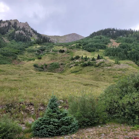 a view of mountain with trees in the background