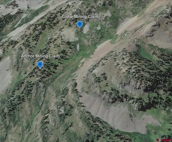 a view of a dry field with trees