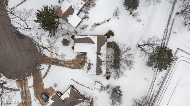 a view of a snow with a tree