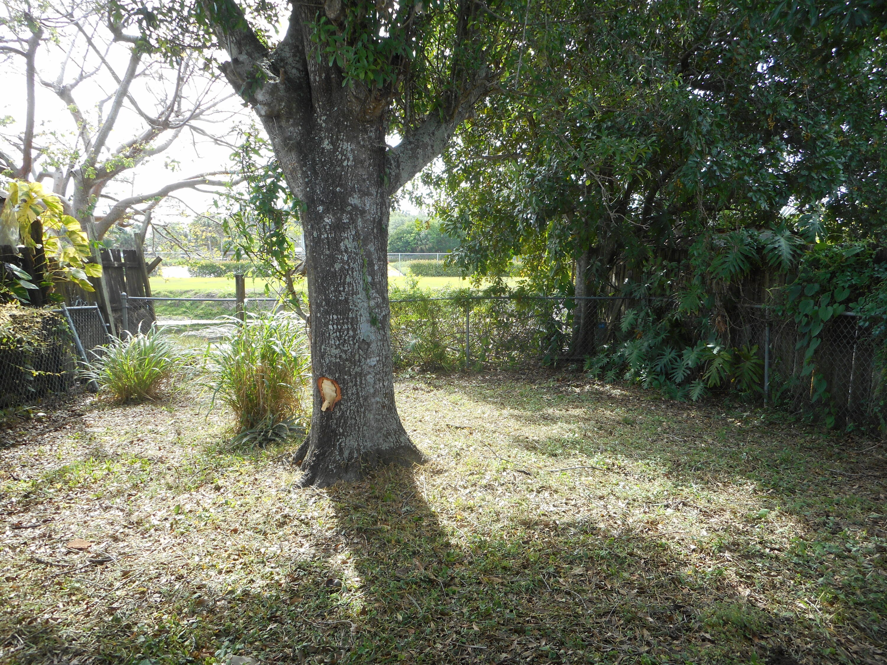 938 Sumter Road West West Palm Beach, FL 33415 - Photo 4 of 14 DSCN4451