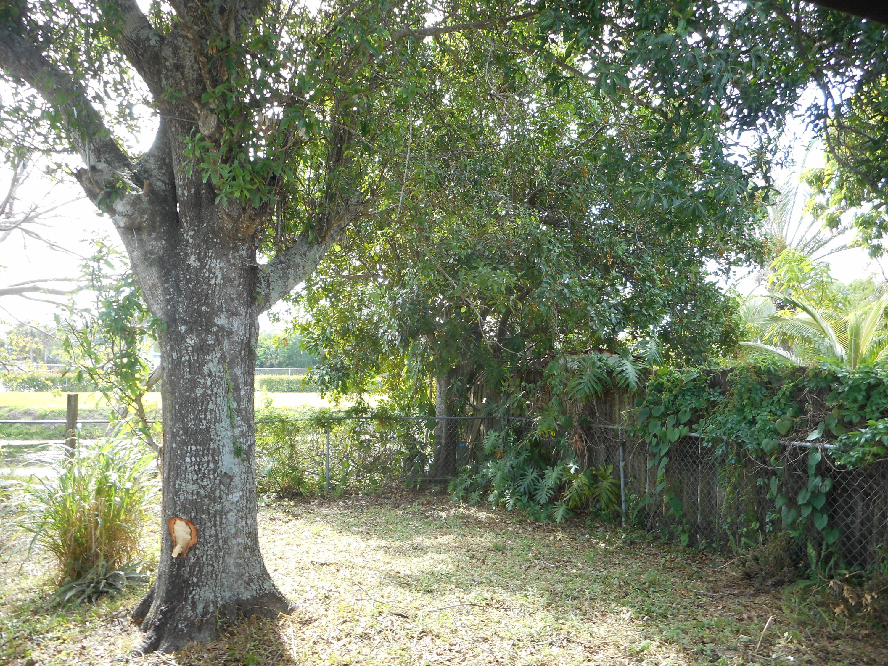 938 Sumter Road West West Palm Beach, FL 33415 - Photo 5 of 14 DSCN4452