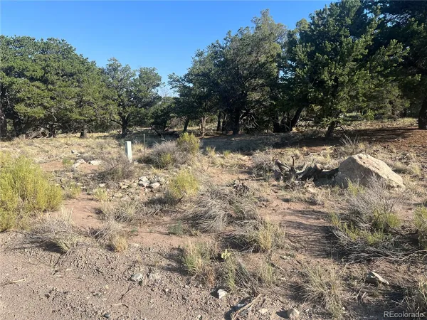 $14,000 | 4351 Rarity Way, Crestone, CO 81131