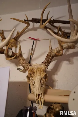 $656,500 | 25065 Rock Springs Hollow Road, Thebes, IL 62990