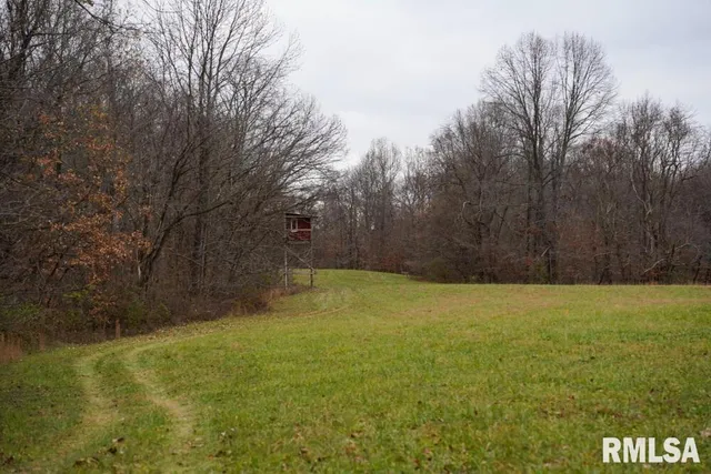 $656,500 | 25065 Rock Springs Hollow Road, Thebes, IL 62990