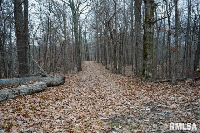 $656,500 | 25065 Rock Springs Hollow Road, Thebes, IL 62990