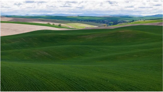 $5,620,000 | Tbd Drive, Rosalia, WA 99170