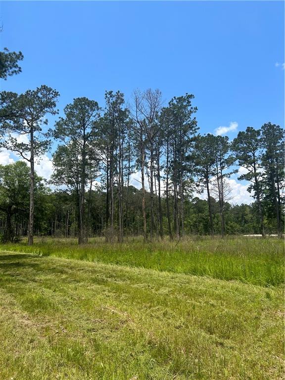 Tbd West Black Cat Road Independence, LA 70443 - Photo 2 of 5 Gallery Image 2