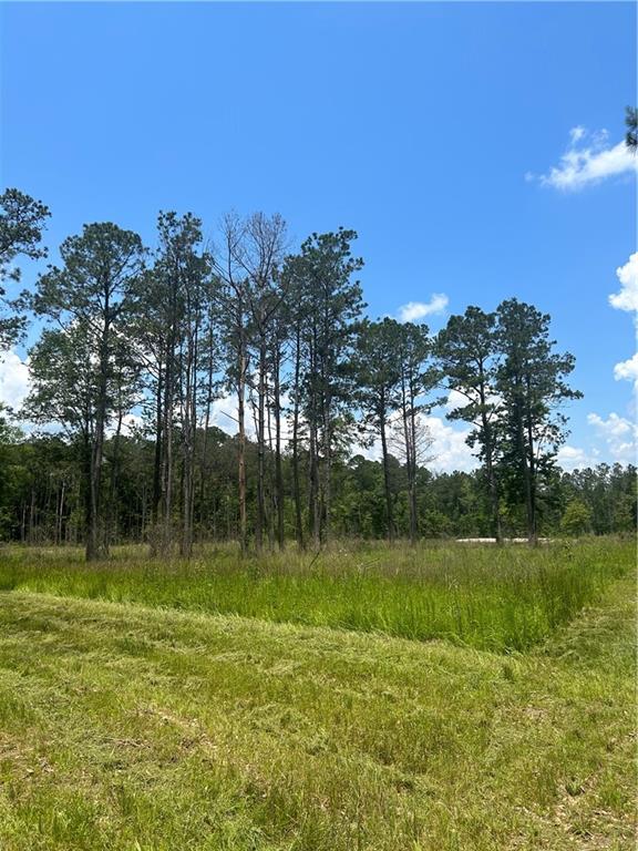 Tbd West Black Cat Road Independence, LA 70443 - Photo 4 of 5 Gallery Image 4