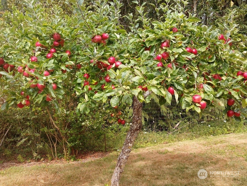 1511 Griffith Point Road Nordland, WA 98358 - Photo 40 of 40