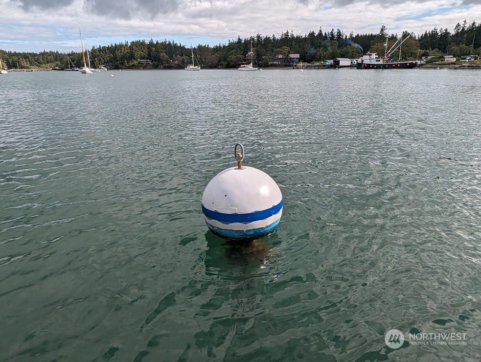 1511 Griffith Point Road Nordland, WA 98358 - Photo 4 of 40 a view of a lake from a yard