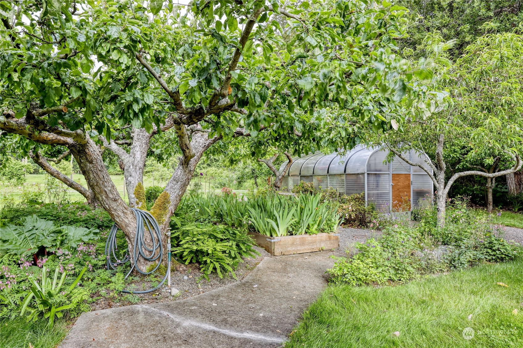 1511 Griffith Point Road Nordland, WA 98358 - Photo 6 of 40 a backyard of a house with plants and large trees