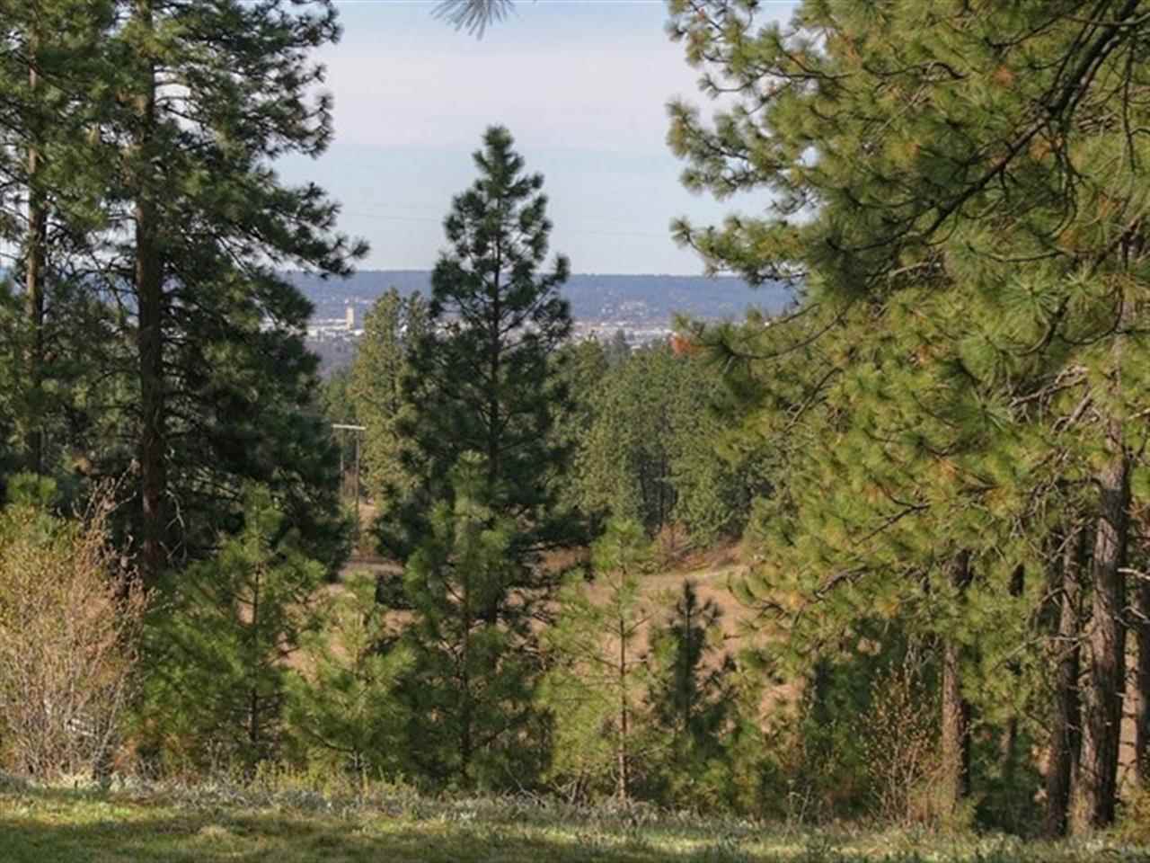 6525 North Walnut Road Spokane, WA 99217 - Photo 20 of 20
