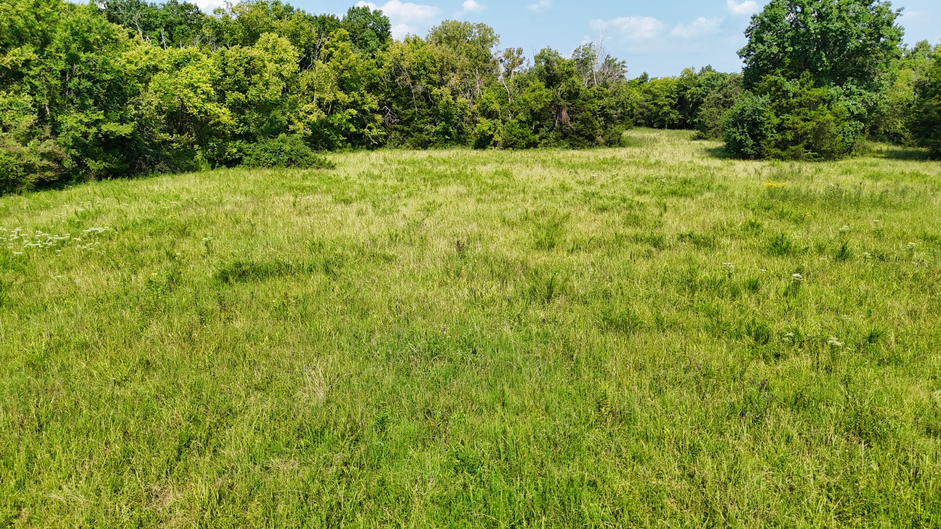 6 Cedar Grove Road Murfreesboro, TN 37127 - Photo 57 of 66 Gallery Image 57