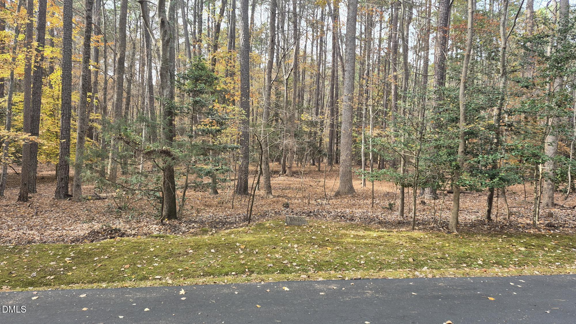 5209 Ginger Trail Raleigh, NC 27614 - Photo 2 of 9 a view of backyard with green space