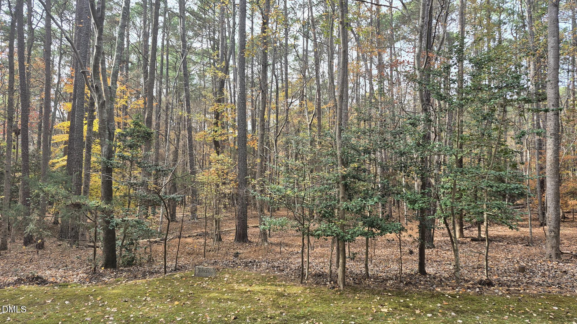 5209 Ginger Trail Raleigh, NC 27614 - Photo 5 of 9 a view of lake view