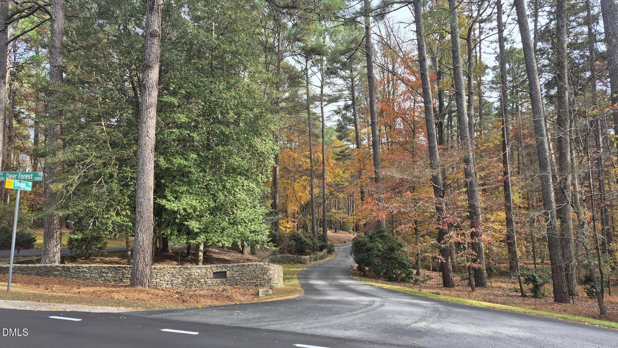 5209 Ginger Trail Raleigh, NC 27614 - Photo 8 of 9 a view of a yard with fountain