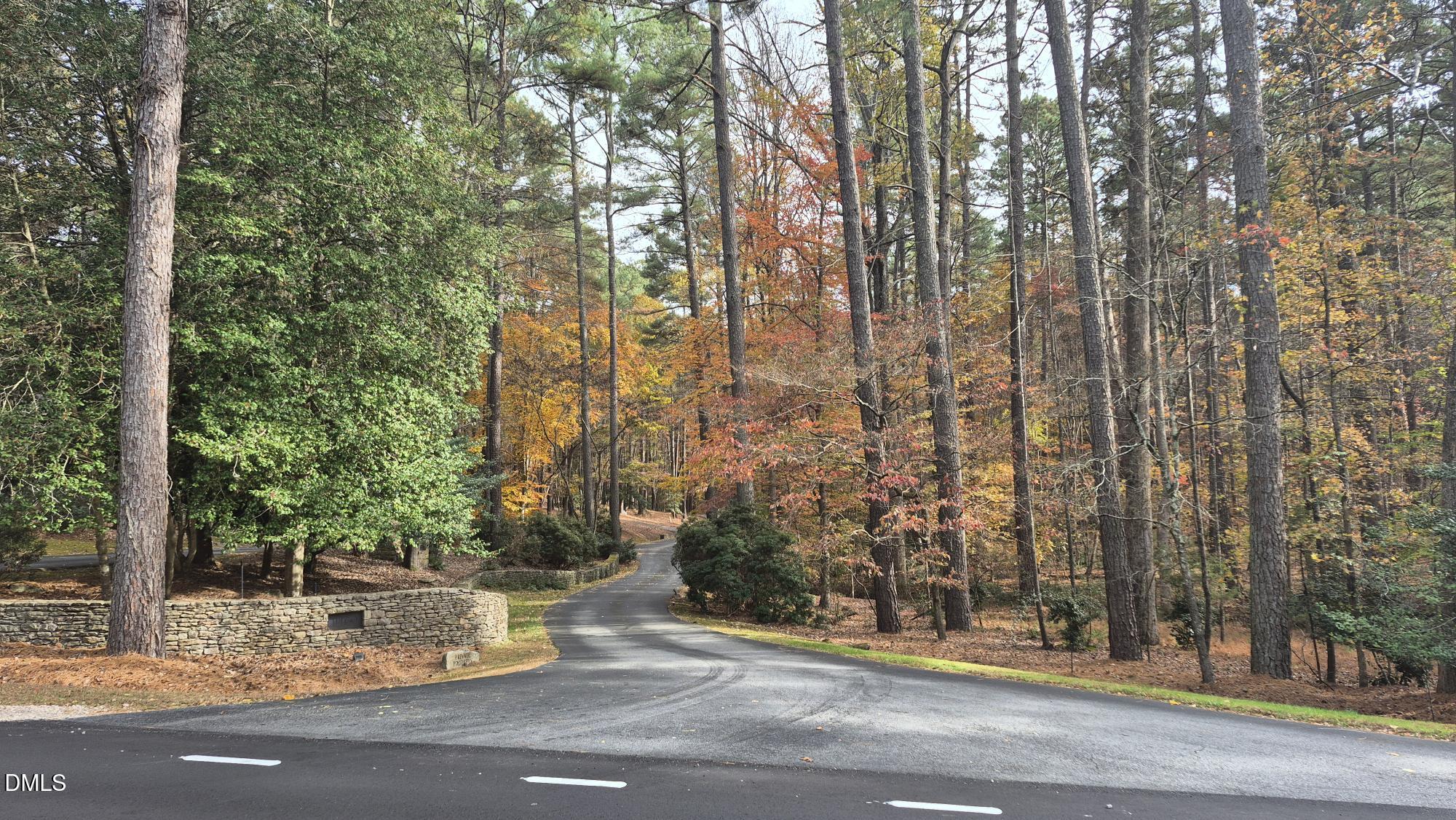 5209 Ginger Trail Raleigh, NC 27614 - Photo 9 of 9 a view of a yard with large trees