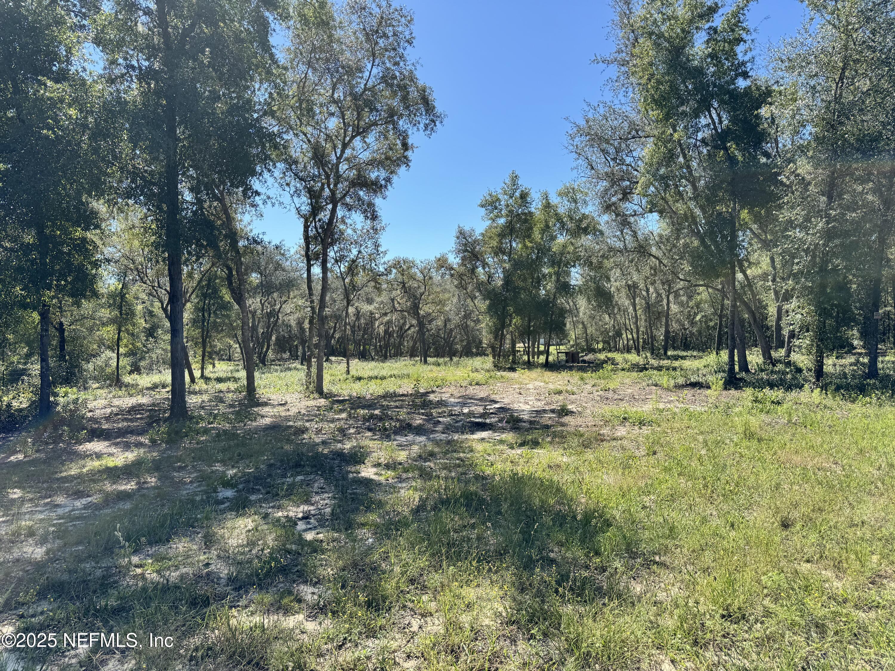 5530 County Road 352 Keystone Heights, FL 32656 - Photo 3 of 7 IMG_3875