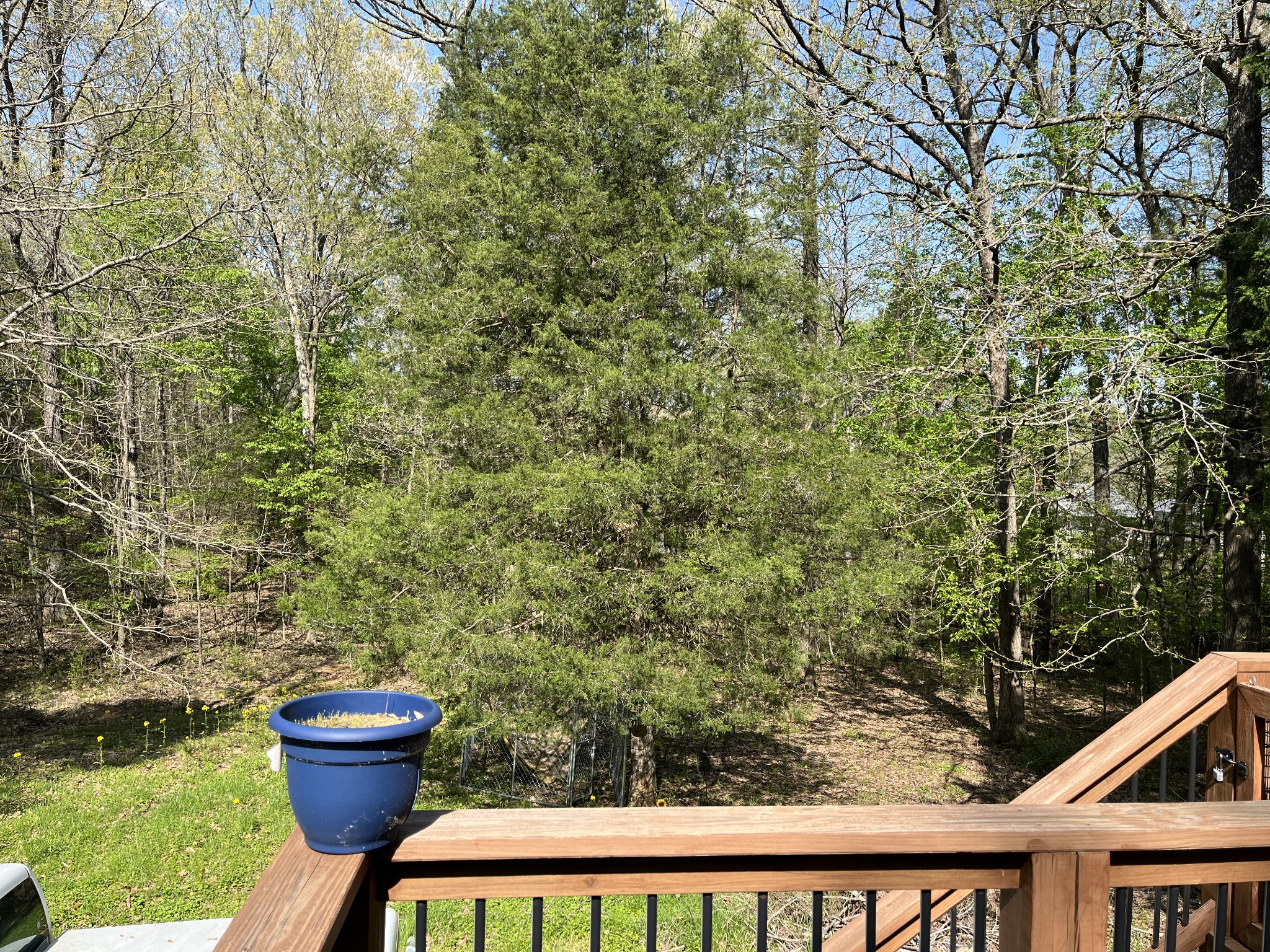 4593 Chester Harris Road Woodlawn, TN 37191 - Photo 9 of 9 Gallery Image 9