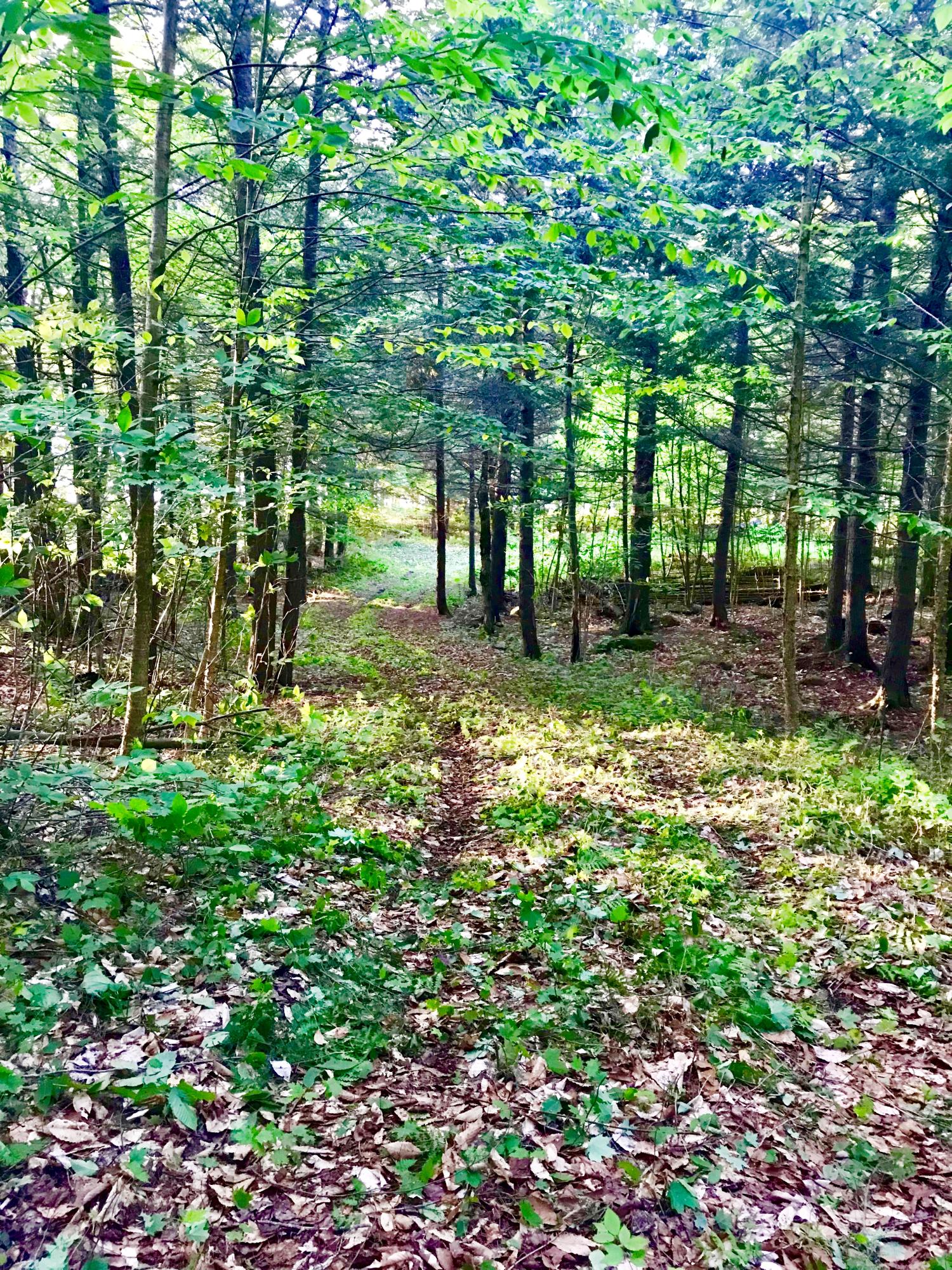 28 East Lot Drive, Unit 4 Sebec, ME 04481 - Photo 15 of 34 Build Your Dream Home/ Camp