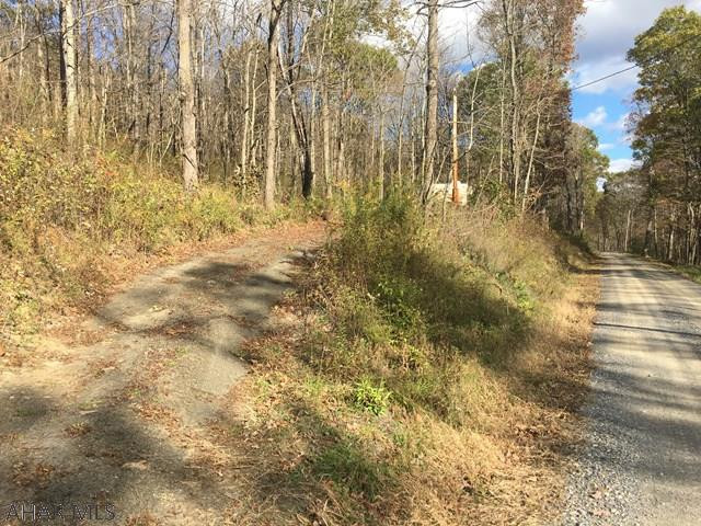 0 Teaberry Hollow Road Schellsburg, PA 15559 - Photo 3 of 16