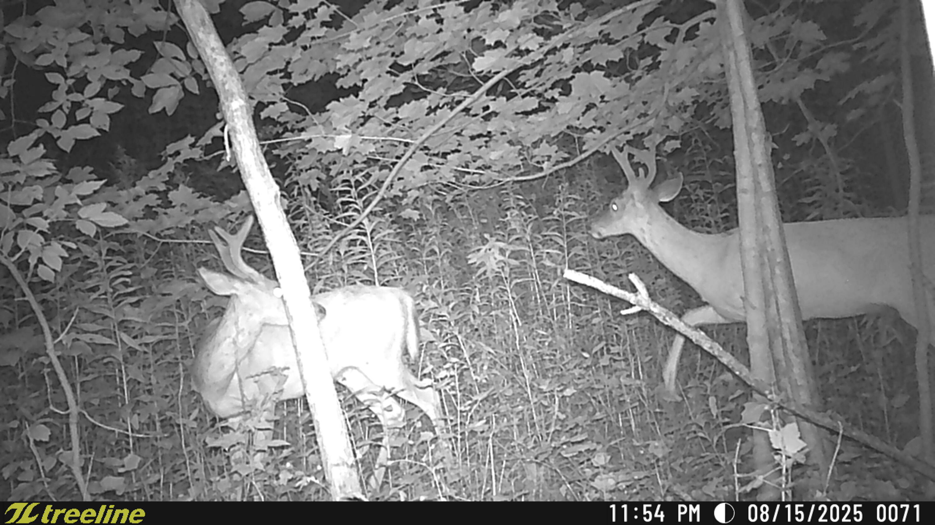 9338 Sauk Trail Road Wilson, WI 53070 - Photo 50 of 52 TSC_0071