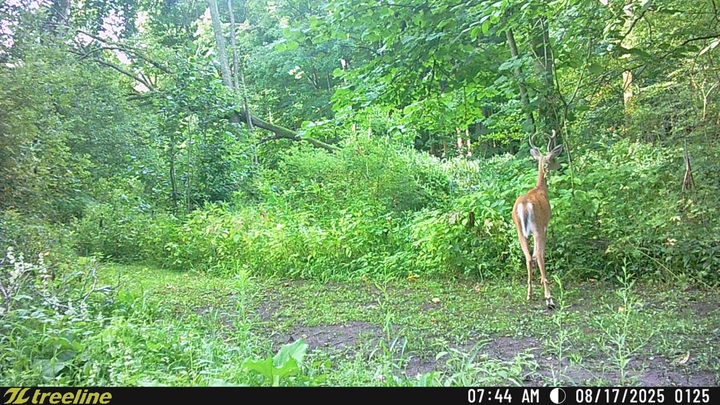 9338 Sauk Trail Road Wilson, WI 53070 - Photo 51 of 52 TSC_0125