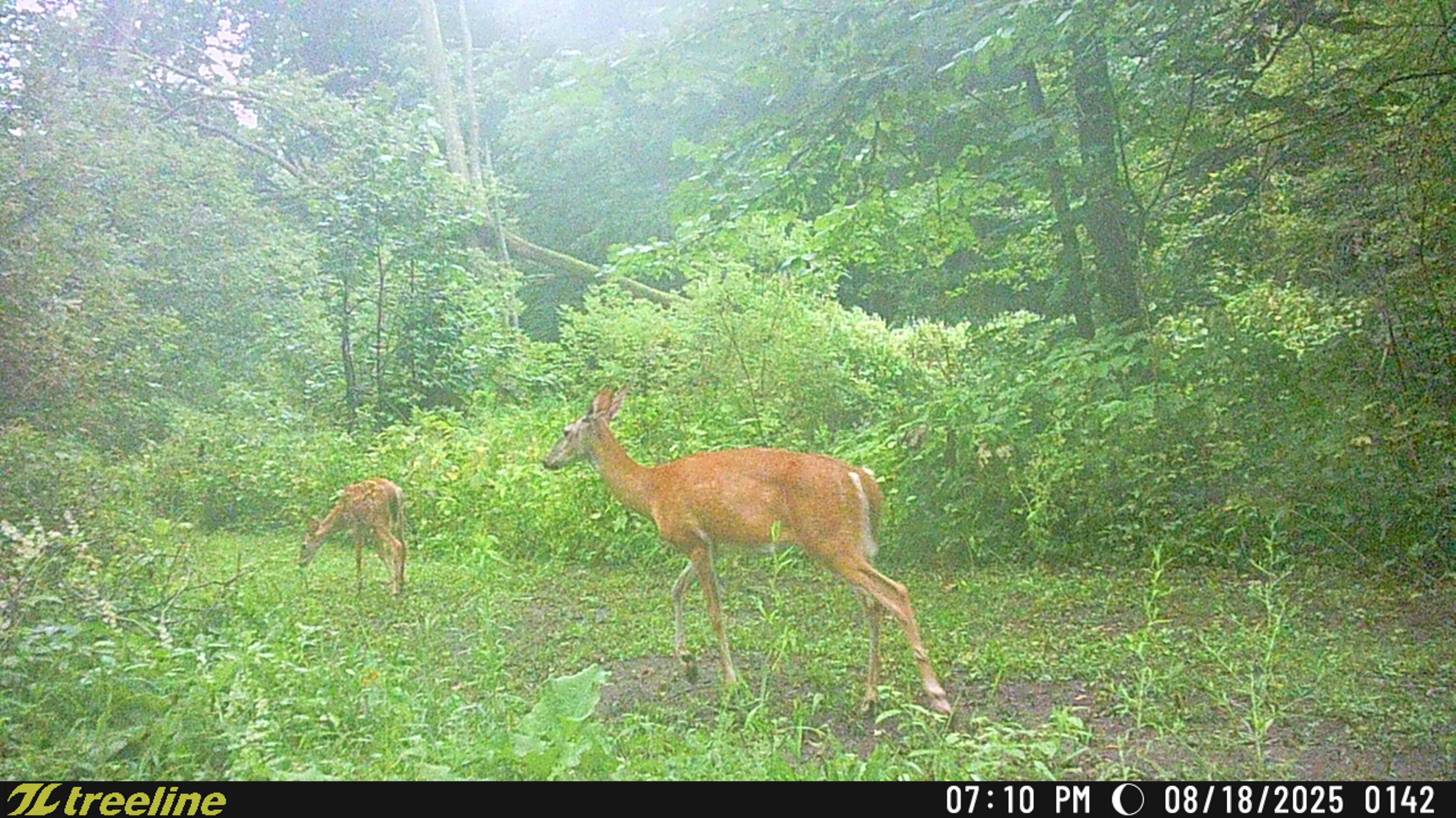 9338 Sauk Trail Road Wilson, WI 53070 - Photo 52 of 52 TSC_0142