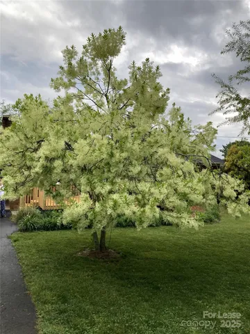 a view of a green field