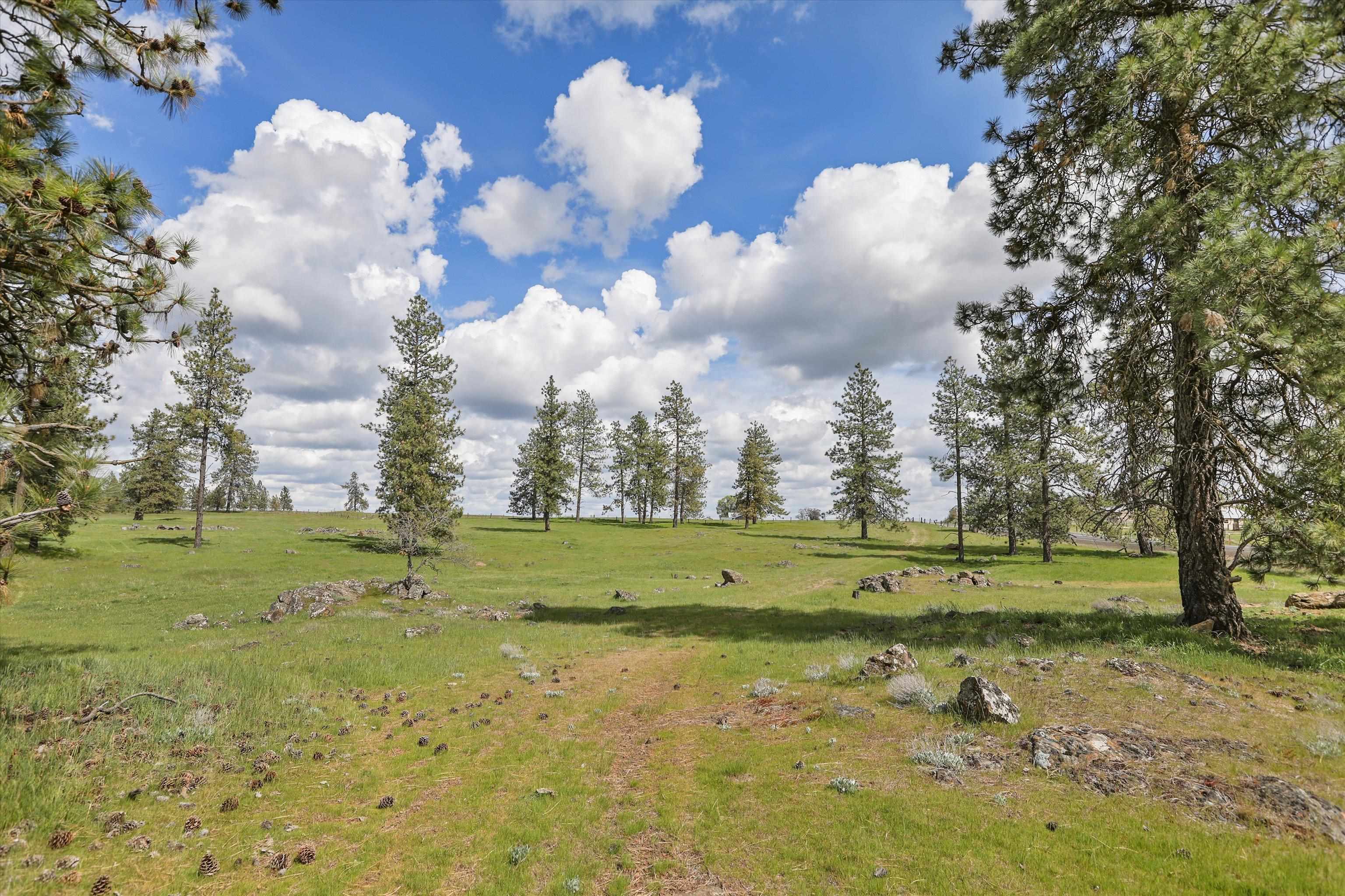 Nka South Malloy Prairie Road, Unit PARCEL G 03032 9054 Cheney, WA 99004 - Photo 5 of 8