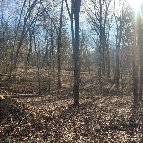 $375,000 | 3133-3141 Hwy Mm, Gray Summit, MO 63039