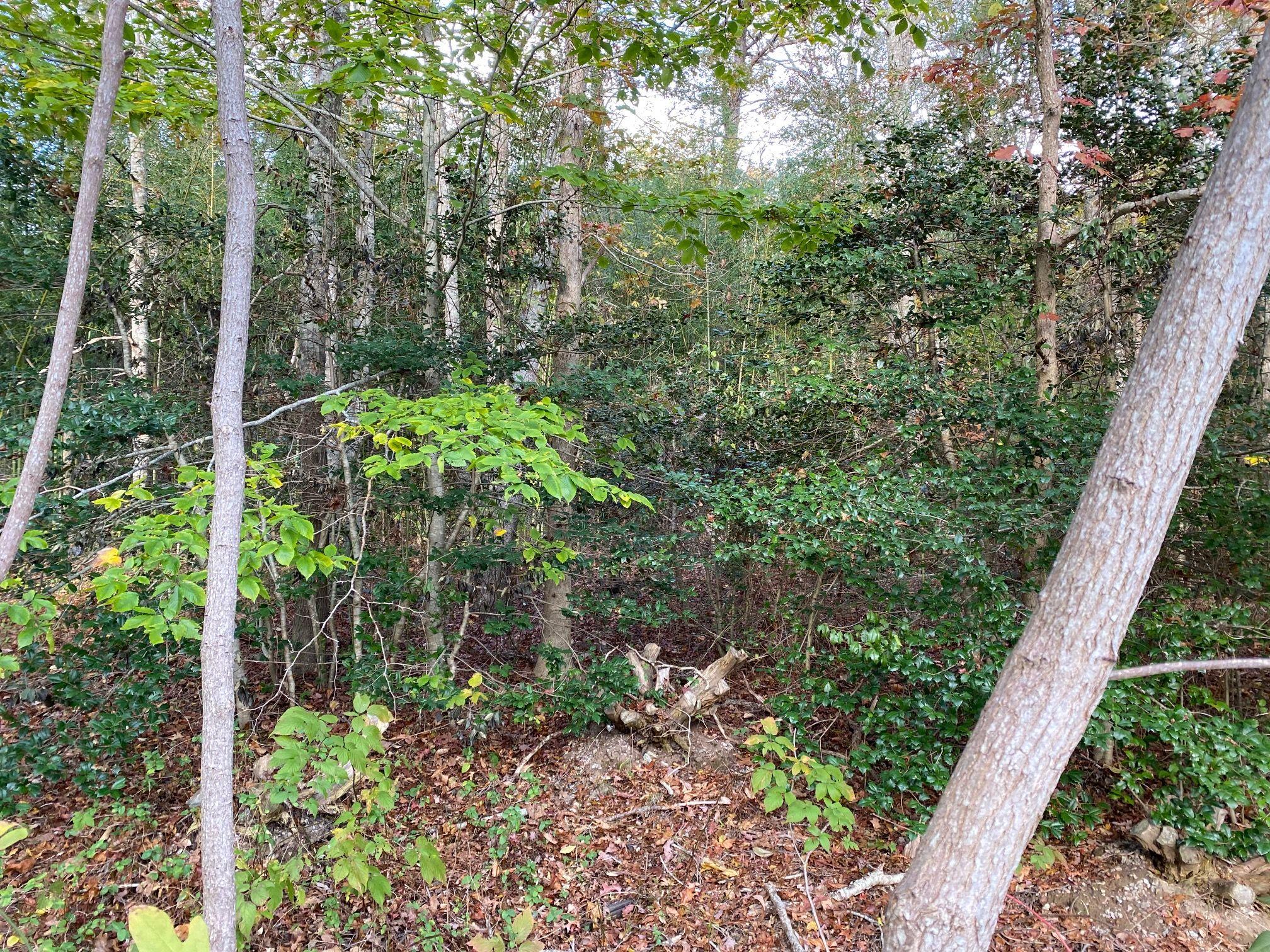 93 Deerfield Road Mashpee, MA 02649 - Photo 2 of 2 93 Deerfield 2