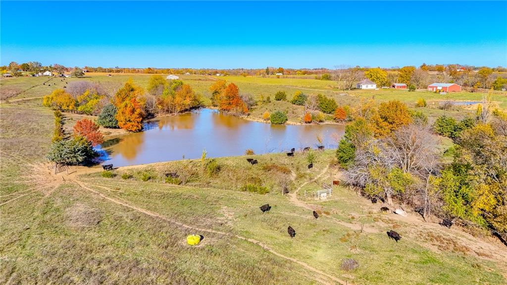 Tbd Tbd County Road Warrensburg, MO 64093 - Photo 18 of 28
